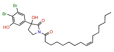 Convolutamide B